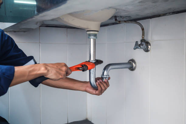 Best Local Plumber Services  in Tybee Island, GA